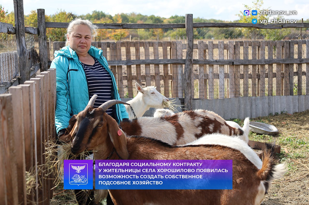 Жительница села Хорошилово благодаря социальному контракту обзавелась собственным подсобным хозяйством.