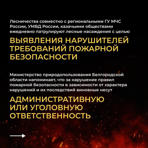 Особый противопожарный режим сохранится в Белгородской области до 12 июля этого года.